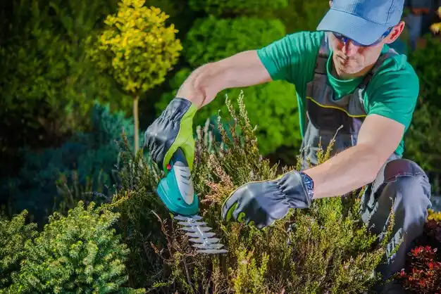 landscaping services West Wareham